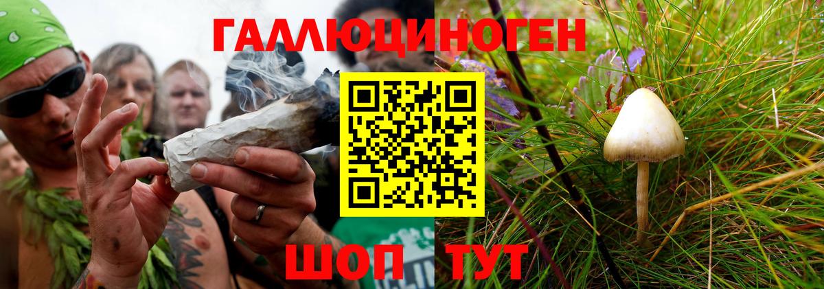 Элиста  Галлюциногенные грибы мицелий  Вход с VPN 