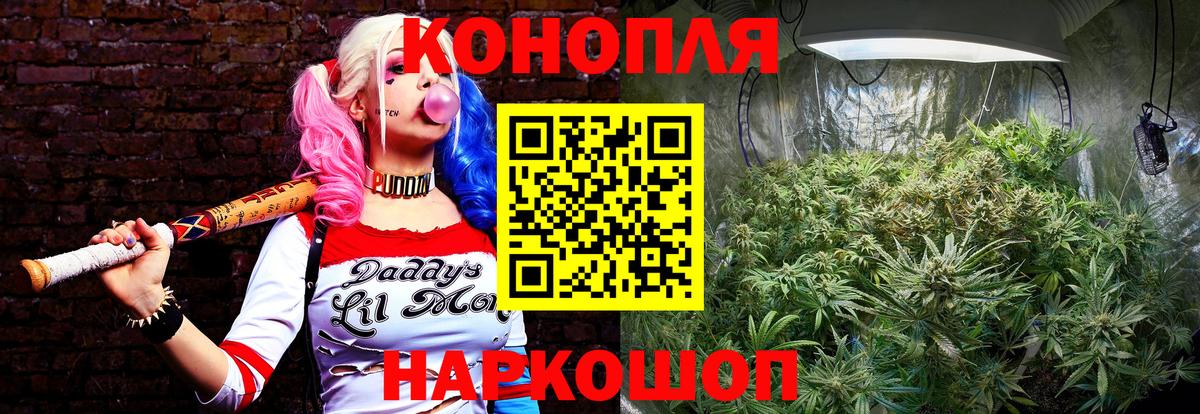 Каннабис SATIVA & INDICA Элиста